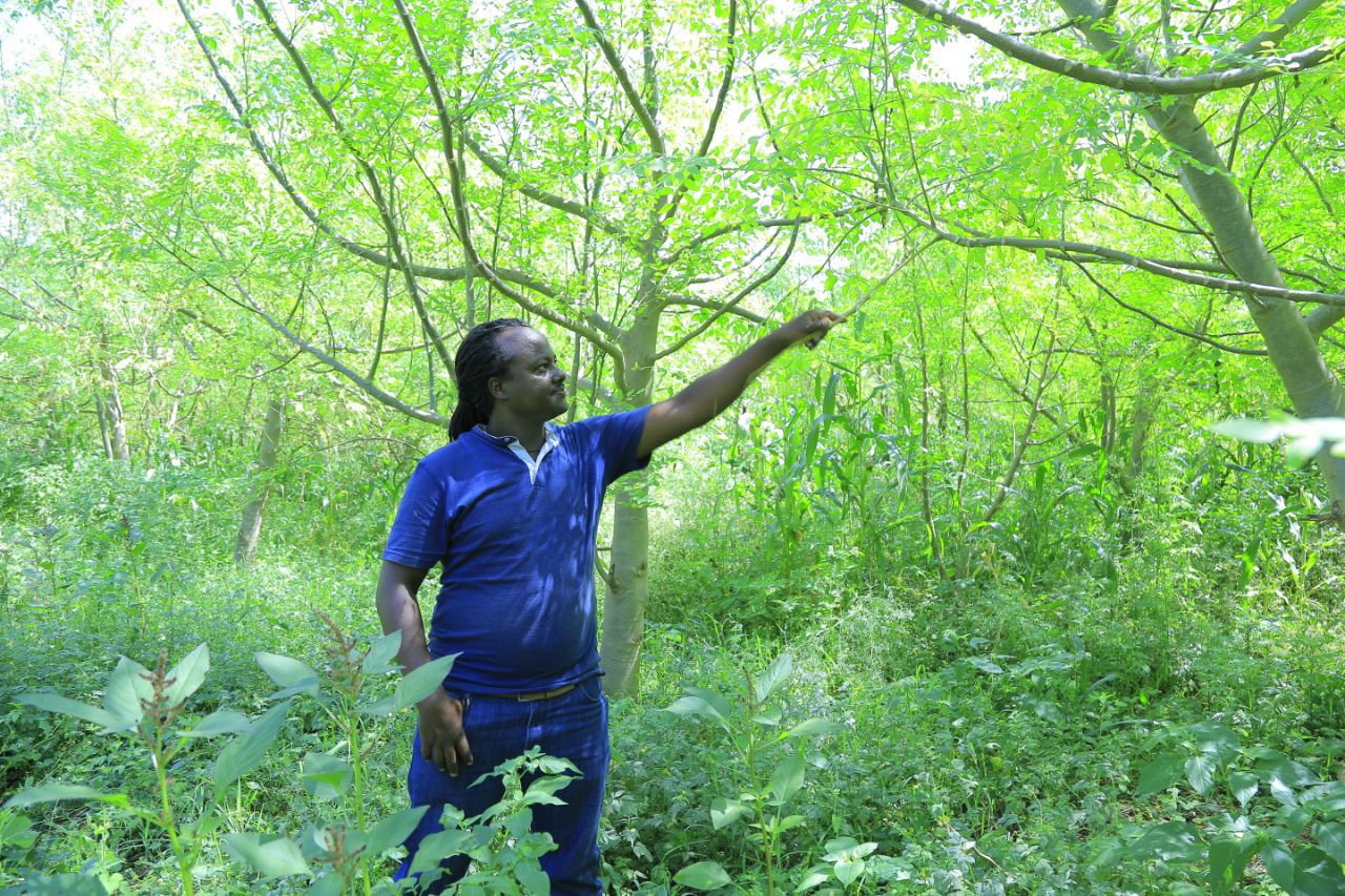 photo_2024-11-19_16-52-50