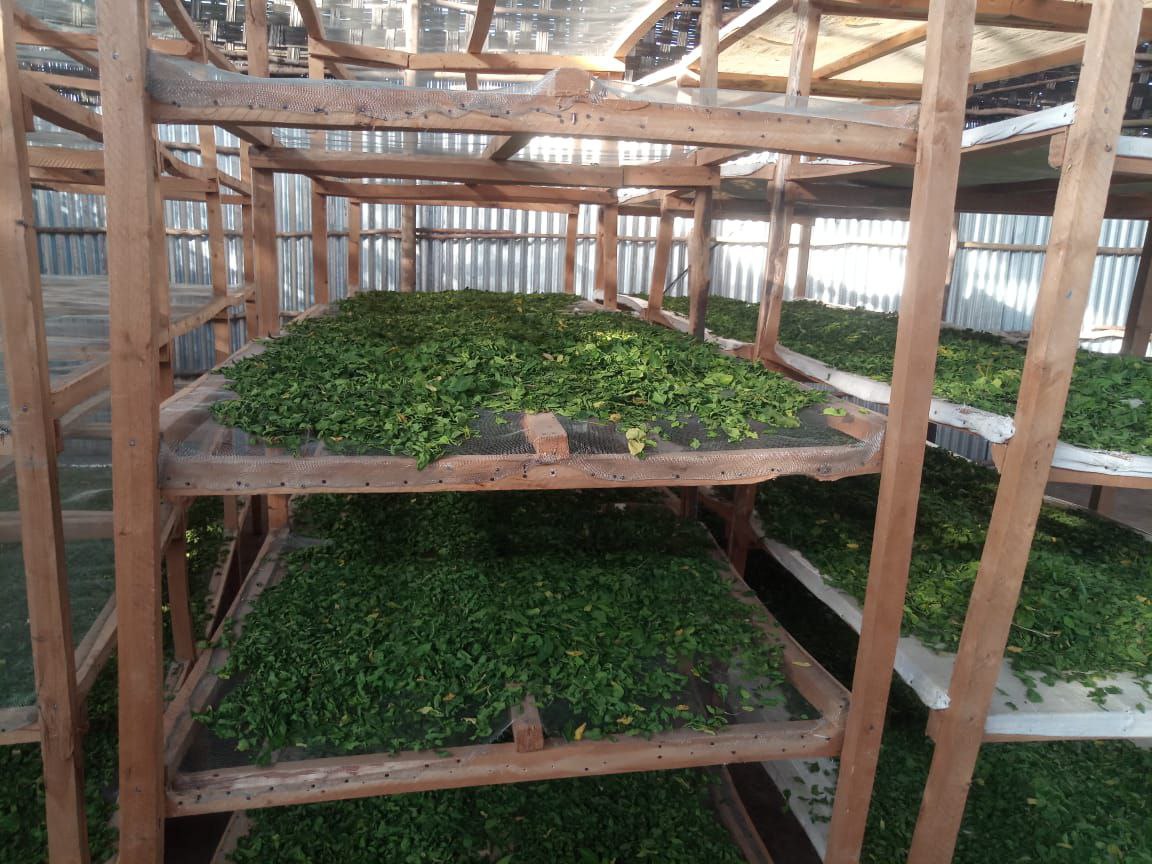 photo_2024-11-21_11-58-23